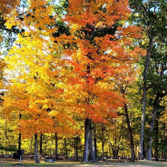 Meet your Posher, Eleanor - Picture 1 of 2